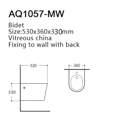 Биде подвесное Aquatek ВЕГА, AQ1057-MW, белый матовый