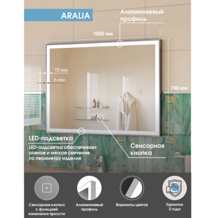 Зеркало Aralia LED 100x70 ЗЛП446, cенсорный выключатель, холодная подсветка
